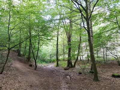 Naturschutzgebiet Katzensteine