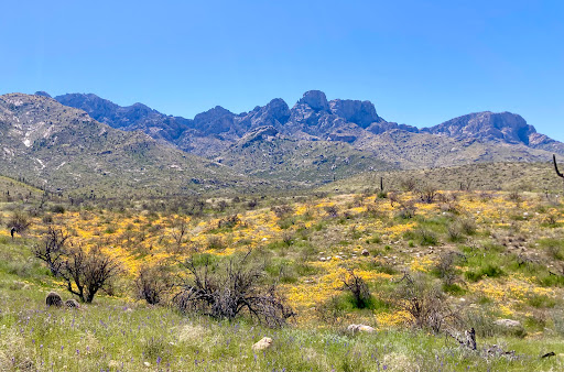Catalina State Park - Thumbnail