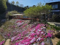 ふくろうの花畑 カフェ