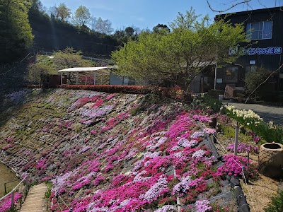 ふくろうの花畑 カフェ