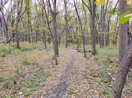 Oak Grove Mountain Bike Trail #1 Start - Thumbnail
