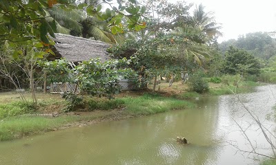 Photos of Kadolana Beach Hotel