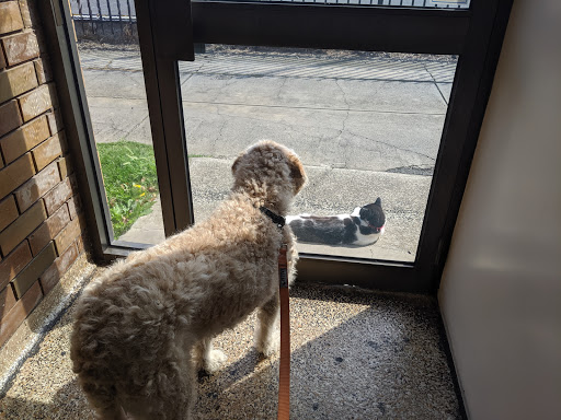 Sunshine Vet Clinic - Thumbnail