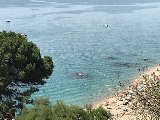 Finques Estrany S.L.