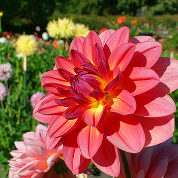 Point Defiance Zoo Botanical Garden