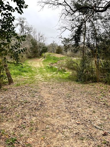 Old Friendswood City Park Gallery - United States