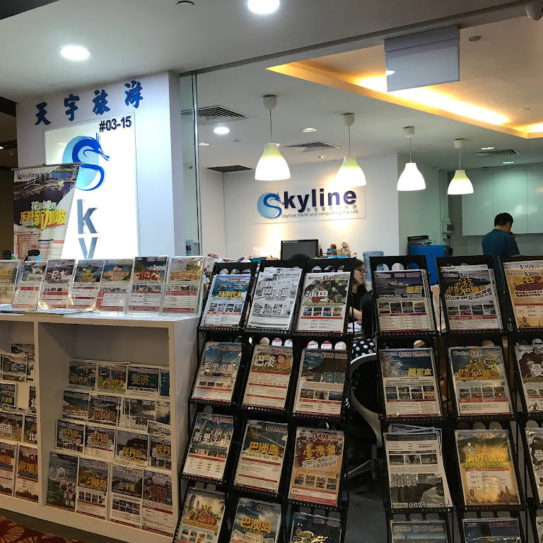 skyline international travel pte ltd