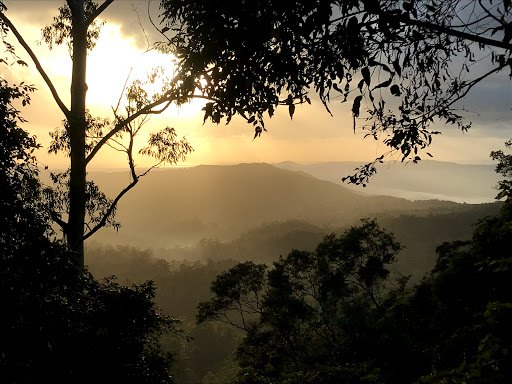 Tomewin Conservation Park