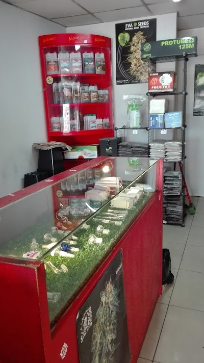 Photos of Psicoactivo 🍄 Grow Shop