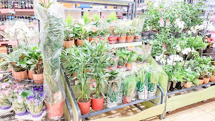 Photo n°19 de Lidl à Saint-Sébastien-sur-Loire (Supermarché)