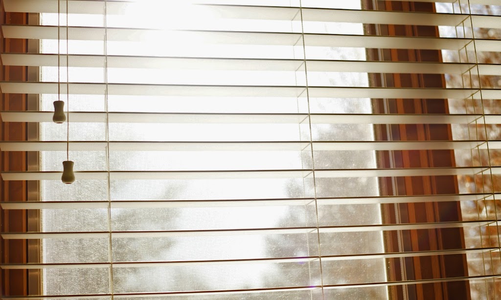 Imagen de Discomper C.V. PM