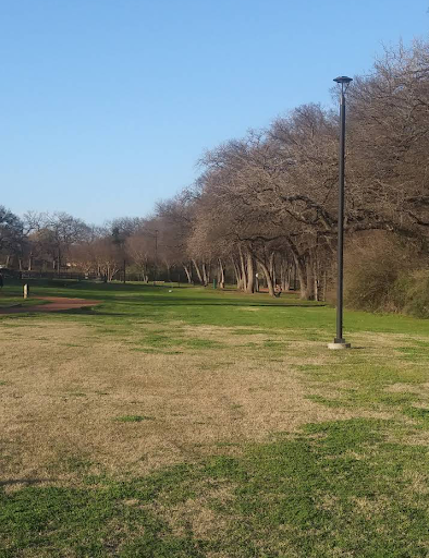 Lively Park