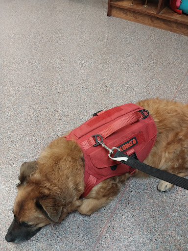 West Texas Emergency Veterinary Clinic - Thumbnail