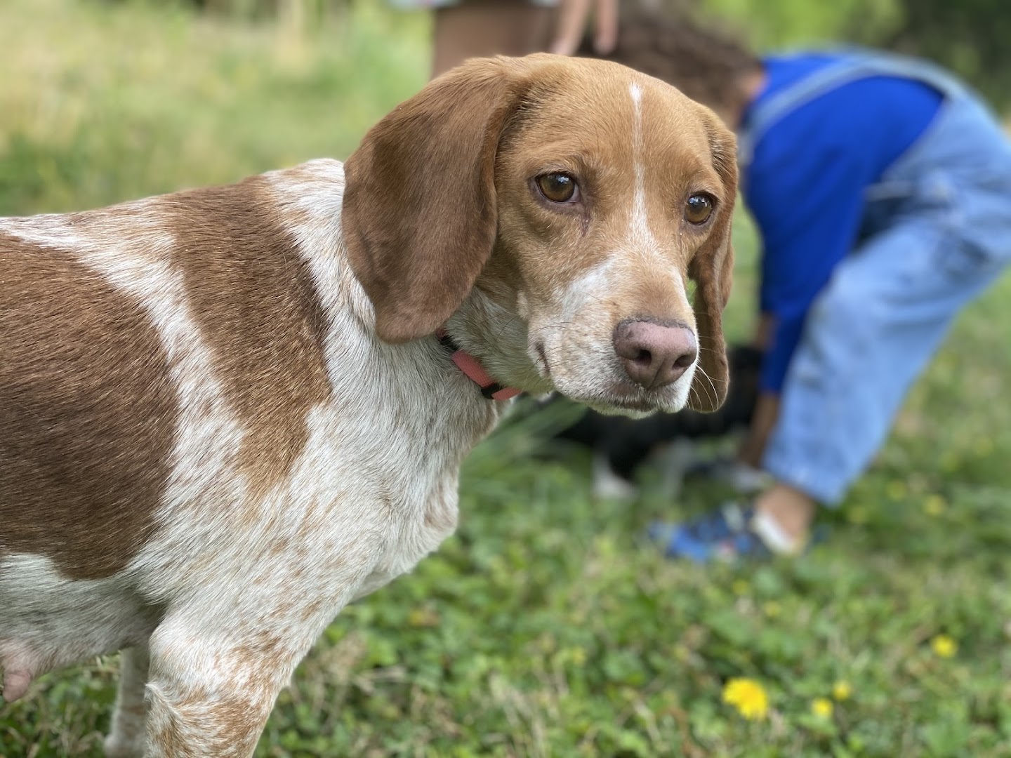 Lake Country SPCA