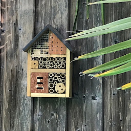 Photo n°74 de Une Odeur de Tilleul. Charme, piscine, au calme pour particuliers et professionnels à Montbrison (Centre de bien-être)