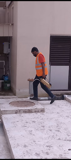Best pest control service in Kolkata post image