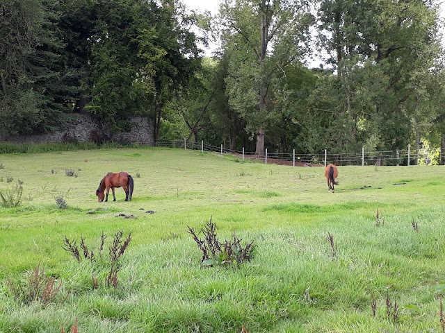 Abbaye de Villers