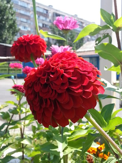 Photos of Obuvnaya Masterskaya "Malen'kaya Italiya"
