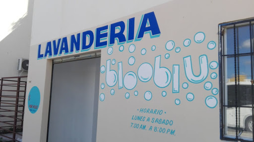 Lavandería Blooblu - Thumbnail