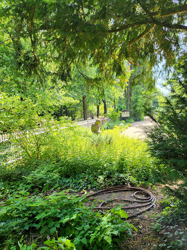 Städtischer Schulgarten - Thumbnail