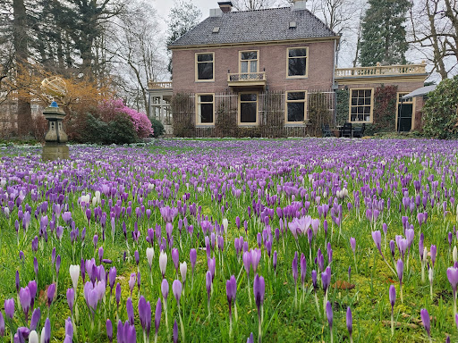 Landgoed Overcingel - Thumbnail