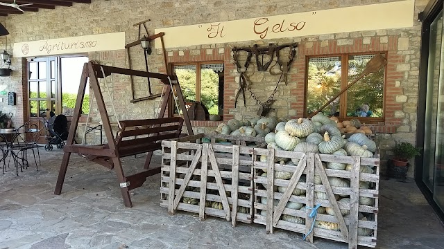 Azienda Agricola Agrituristica Il Gelso di Pareti Thomas