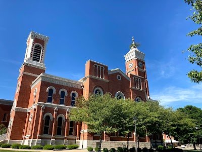 Tree Growing from Courthouse