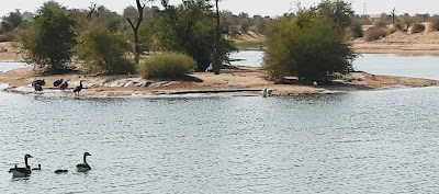 Photos of Flamingo lake