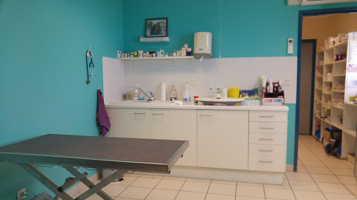 Clinique Veterinaire Du Champ Bossu - Thumbnail