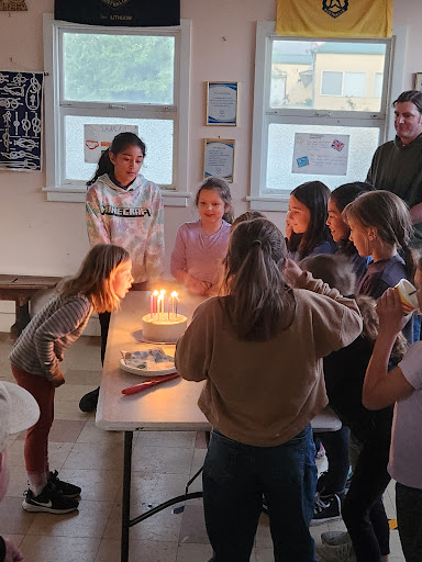 Lithgow Girl Guides Gallery - Australia