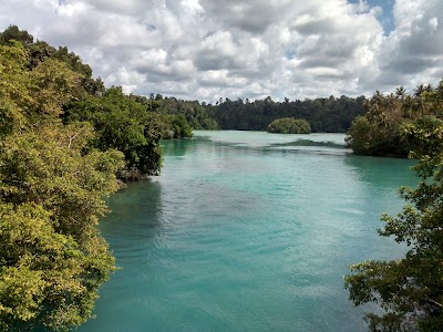 Photos of Fantastic Borneo