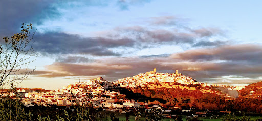Bodegón Huertero