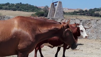 Photos of Natural Park Alcornocales