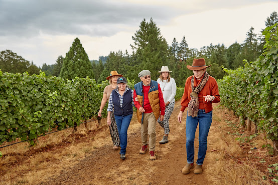 Knudsen Vineyards by null