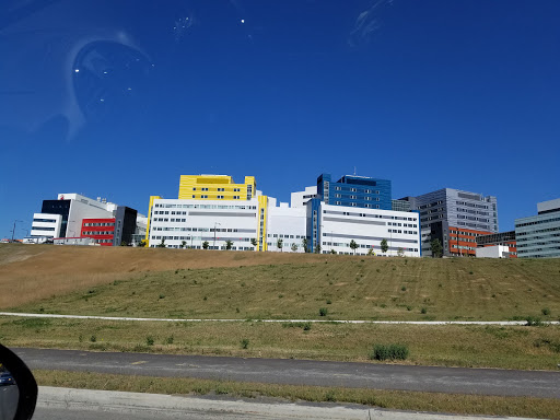 Gate 4 Naval Station - Thumbnail
