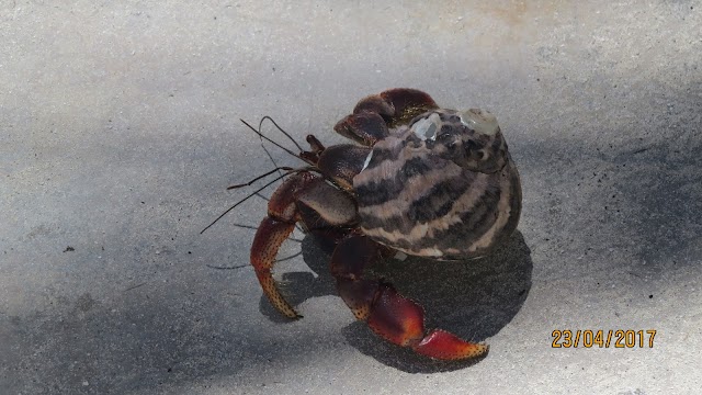 Isla Contoy National Park