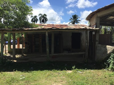 Photos of Gallera de naranjo
