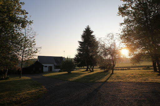Photo de Camping municipal de Dollon à Dollon (72390)