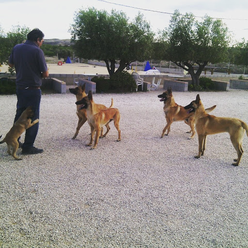 Hotel para perros SeguraCan Centro Canino
