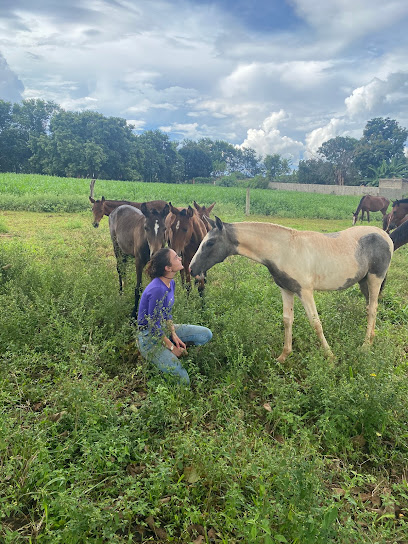 Bárbara Magalhães | Médica Veterinária