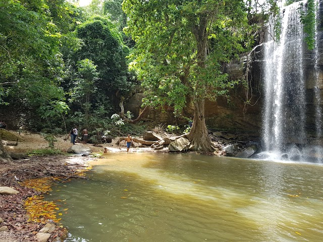 Réserve nationale de Shimba Hills