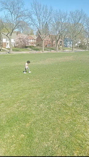Lomond Athletic Fields - Visual