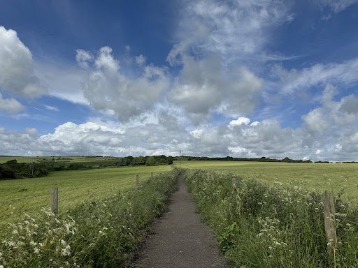 Devils Dyke Trail - Visual