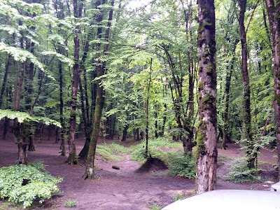 Photos of Alangdareh Park
