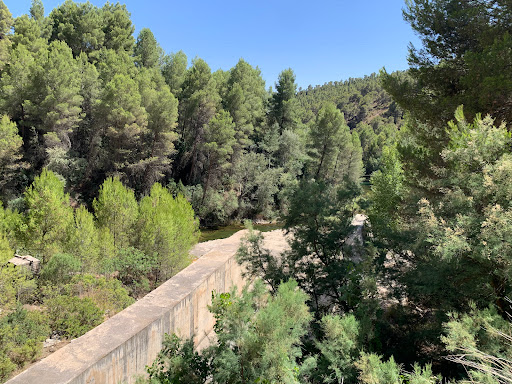 Rio Cabriel - Visual