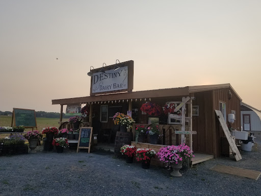 Destiny Dairy Bar - Thumbnail