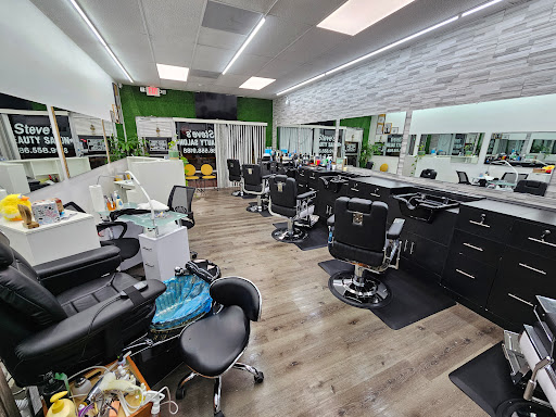 Steve's Salon - Visual