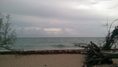 Photos of Yamacraw Beach