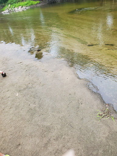 Albright Mills County Park Gallery - United States