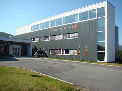 university